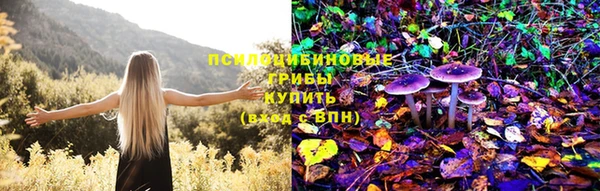 трава Козловка