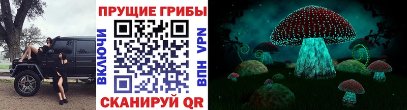 Купить где  Саянск  Галлюциногенные грибы прущие грибы 